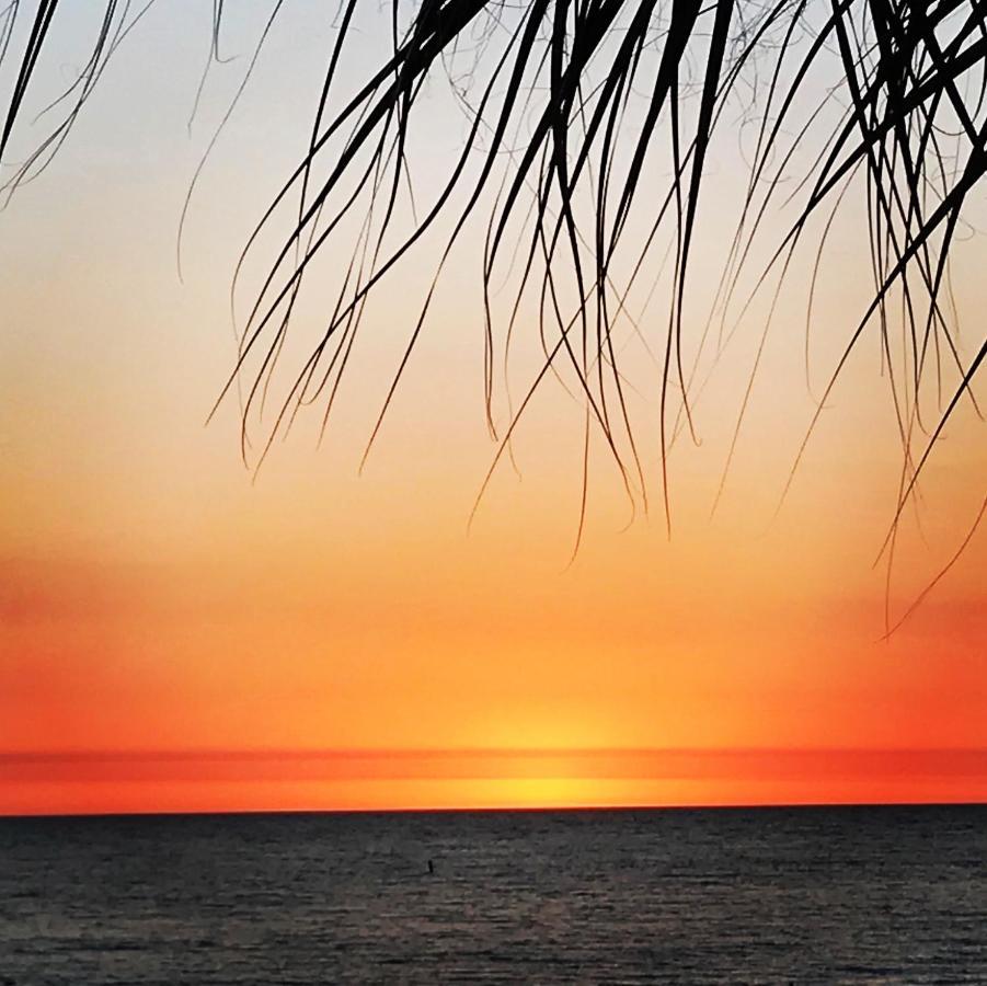 #212 Surf Song Resort St. Pete Beach Extérieur photo